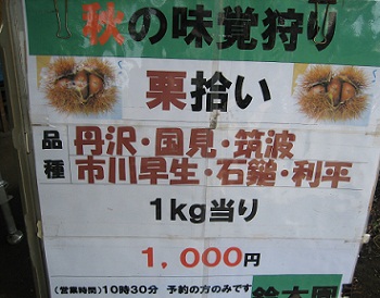kuri4.jpg